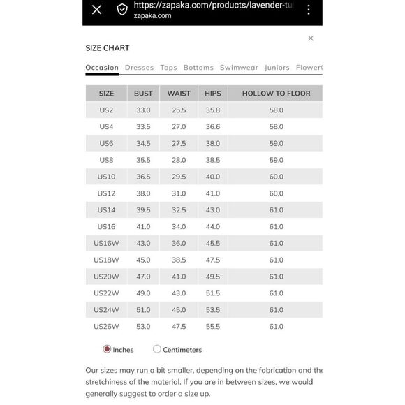 Zapaka Lavender Tulle A Line Corset Plus Size Prom Dress with Embroidered NWT - Picture 7 of 13